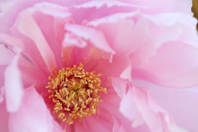 a0263109_1243192.jpg