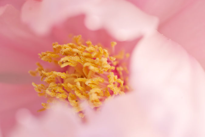 a0263109_1252314.jpg