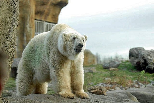 a0151913_23315393.jpg