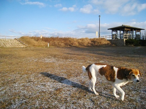 c0084117_1855885.jpg