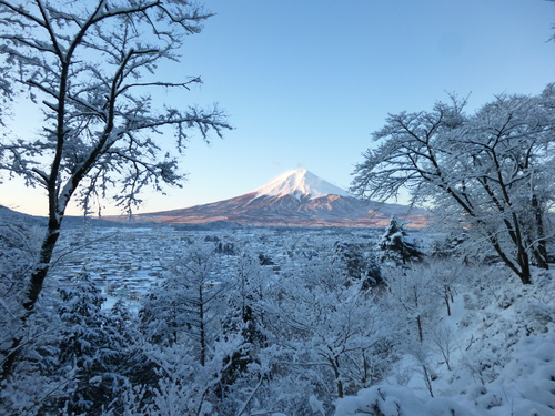 f0304030_842479.jpg