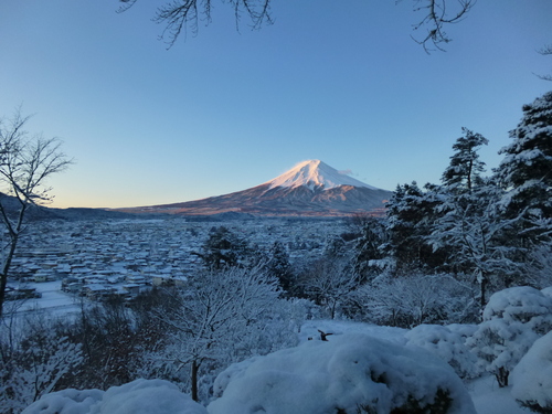 f0304030_8501963.jpg