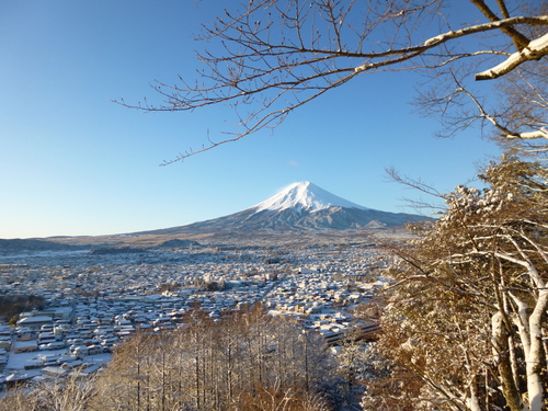 f0304030_8595416.jpg