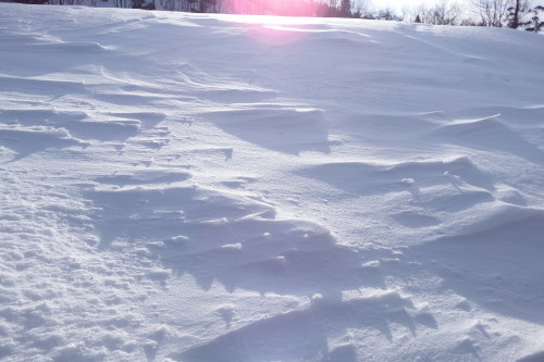 f0118332_12582578.jpg
