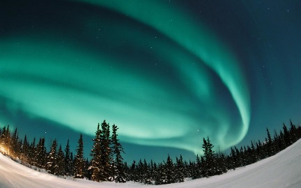 b0184437_1113920.jpg
