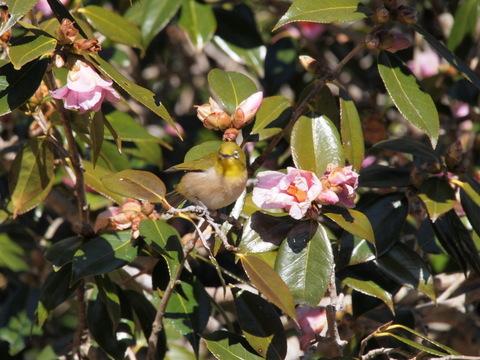 b0199742_20151593.jpg