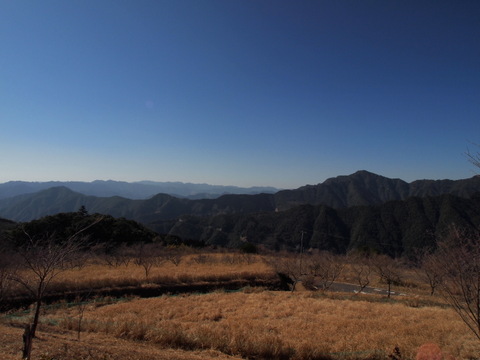 b0199742_2025993.jpg