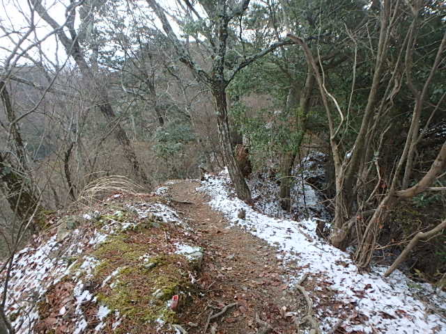 f0334143_9351446.jpg