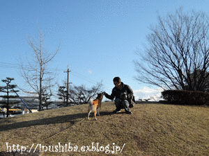 a0286855_10541616.gif