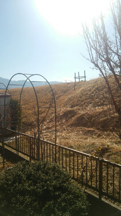 c0348784_1258559.jpg