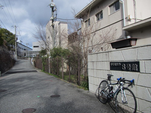 a0251786_20223919.jpg