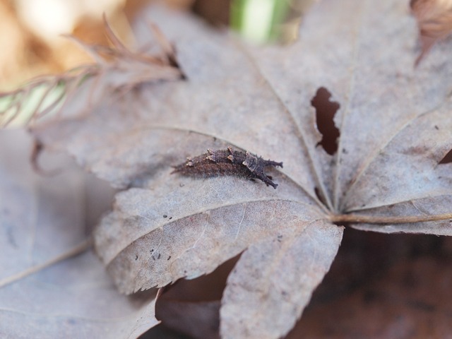 b0194593_1642410.jpg
