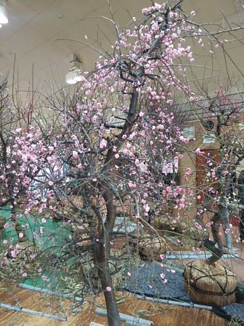 c0152507_11133064.jpg