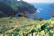 b0159210_14564446.jpg