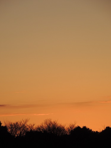 f0150620_745156.jpg