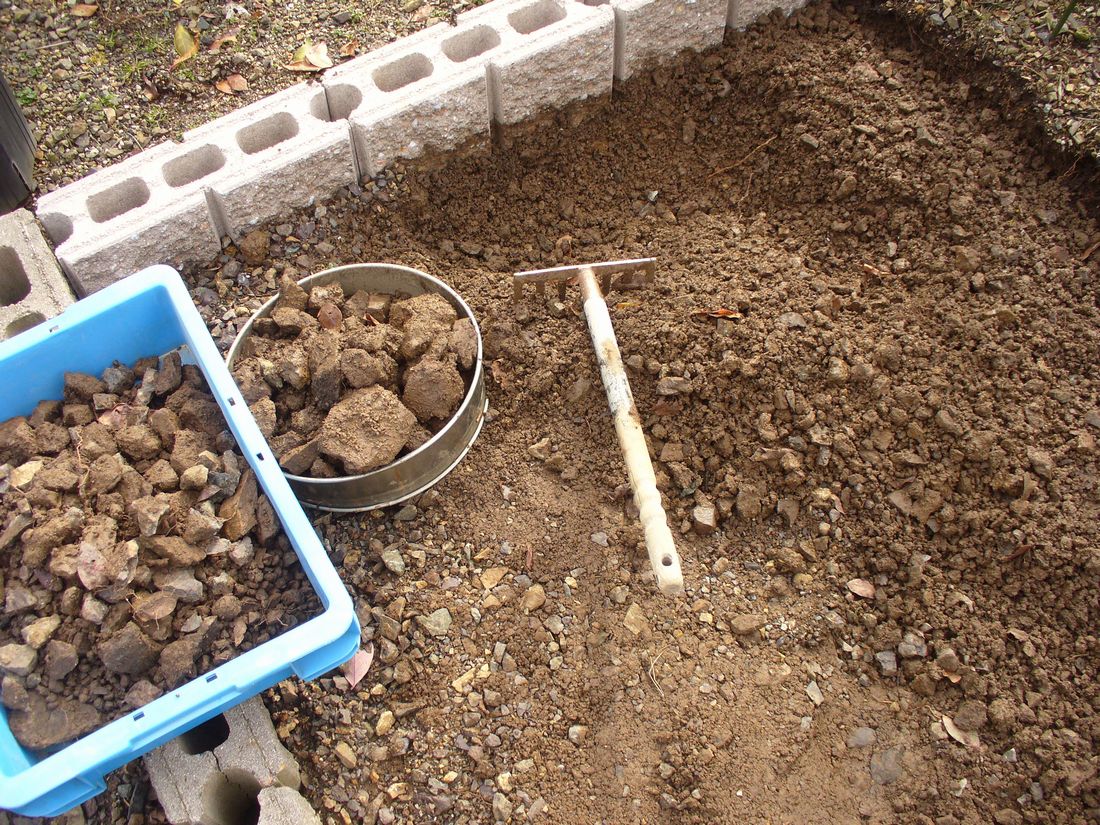 f0346527_2139596.jpg
