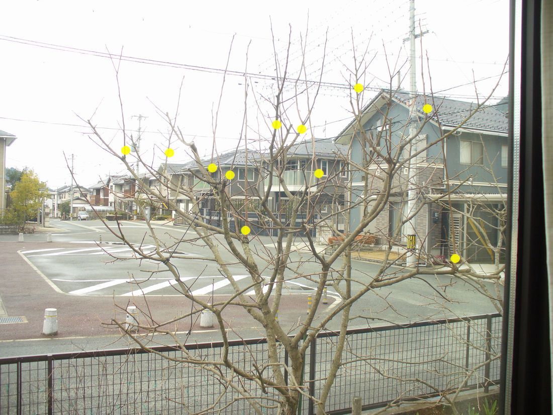 f0346527_2211988.jpg