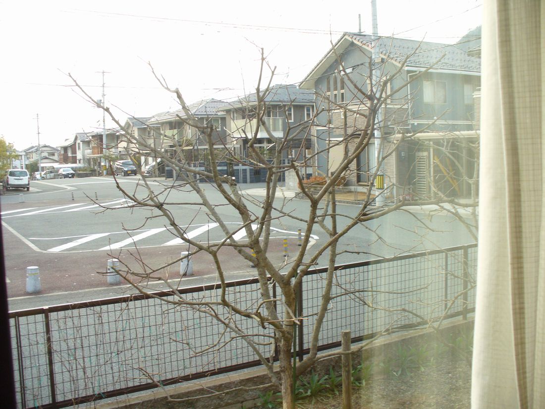 f0346527_22201616.jpg