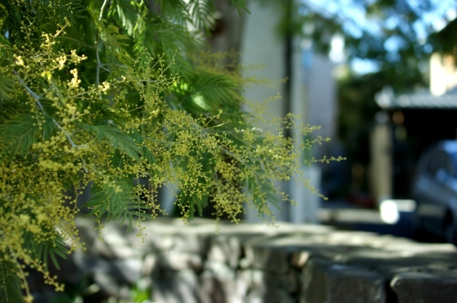 a0318033_17242786.jpg