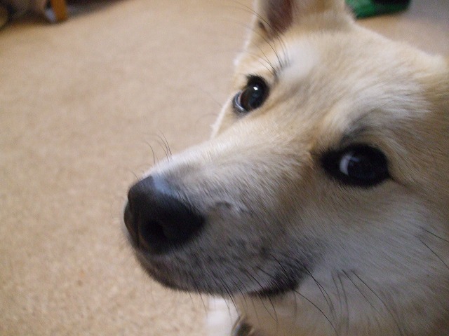 a0322733_20515889.jpg