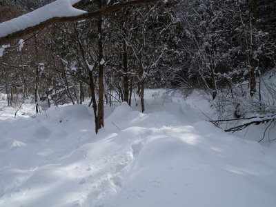 e0272335_2049895.jpg