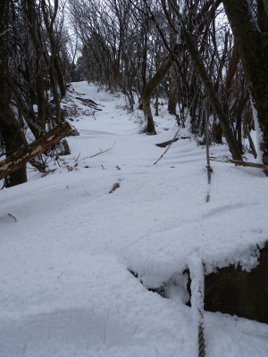e0272335_218375.jpg
