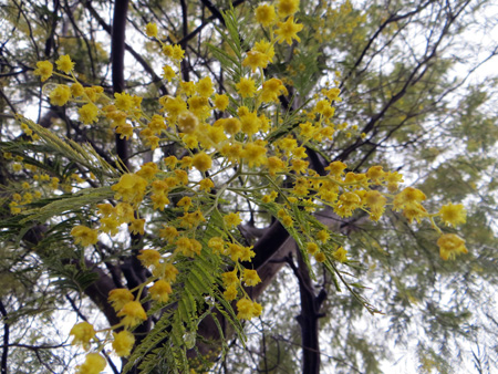 f0234936_65155100.jpg