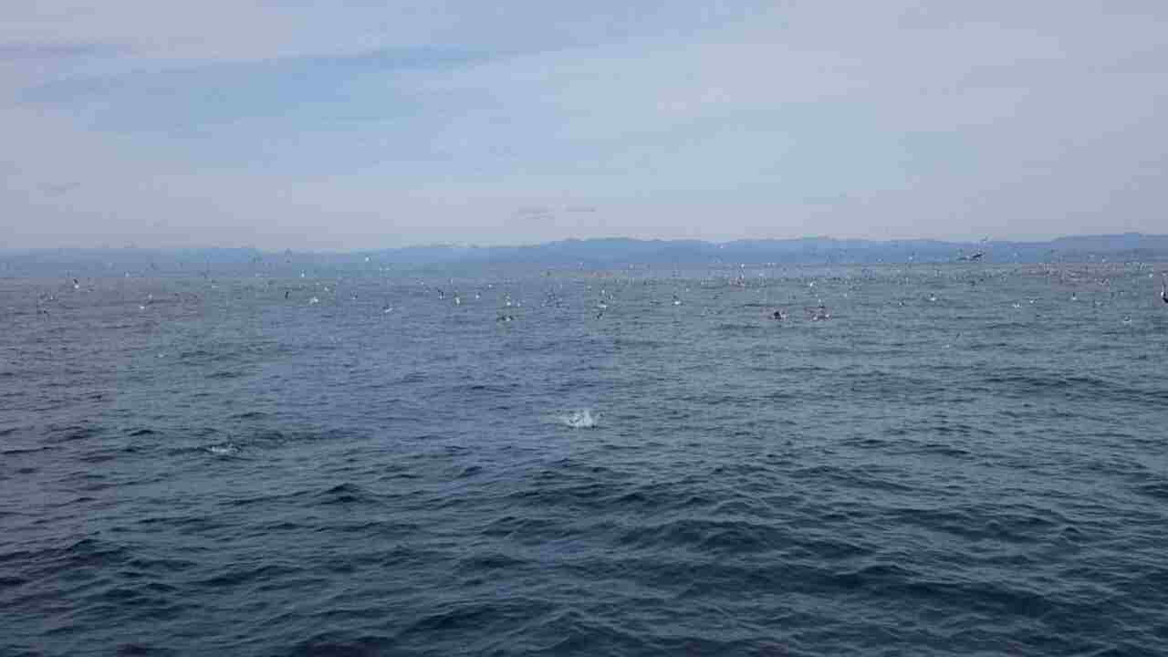 a0248152_18151862.jpg