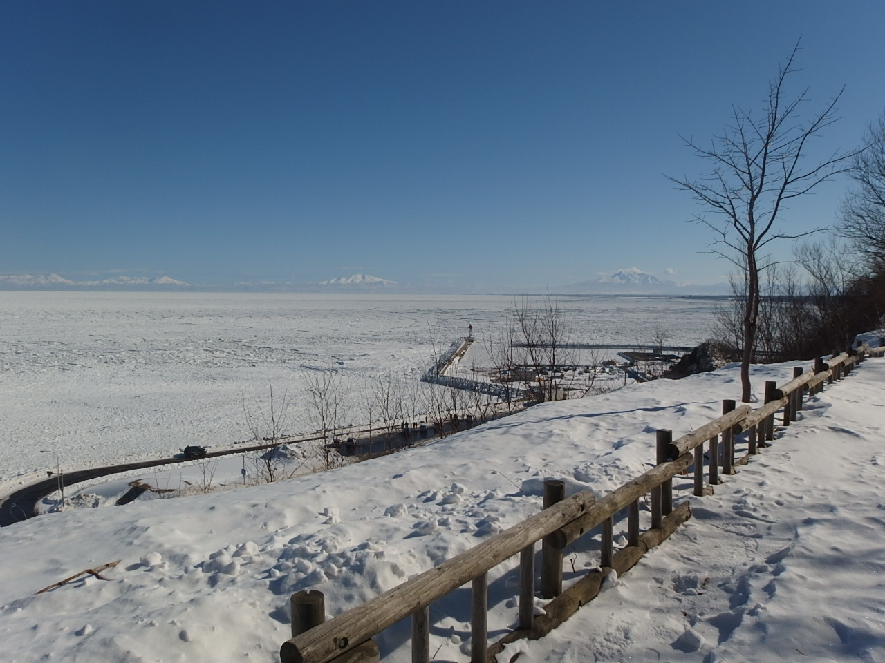e0004756_19564176.jpg