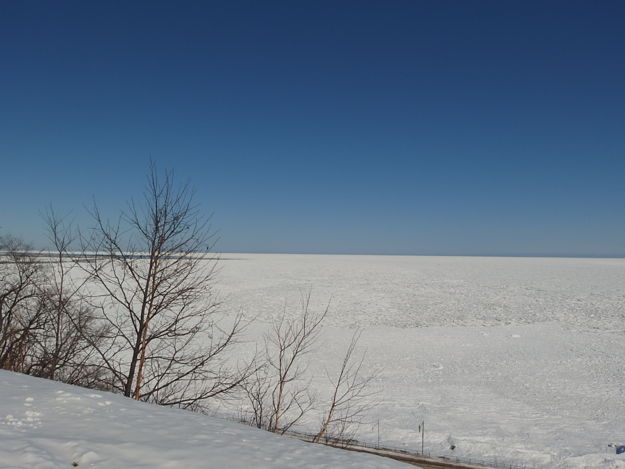 e0004756_2013621.jpg