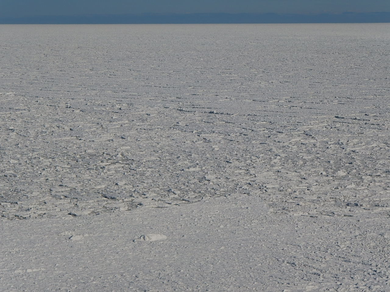 e0004756_20163496.jpg