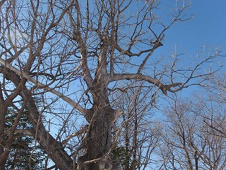 e0004756_2025257.jpg