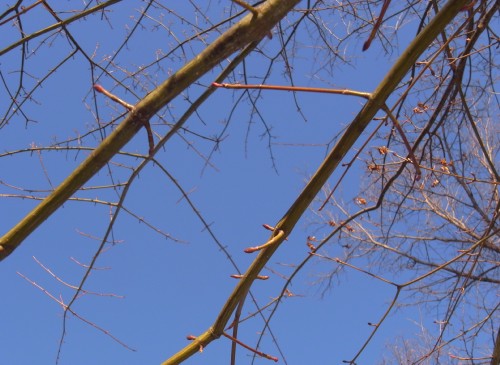c0166668_2032132.jpg