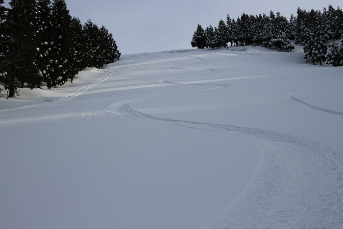 f0223068_1633114.jpg