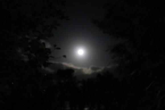 e0292172_20355968.jpg