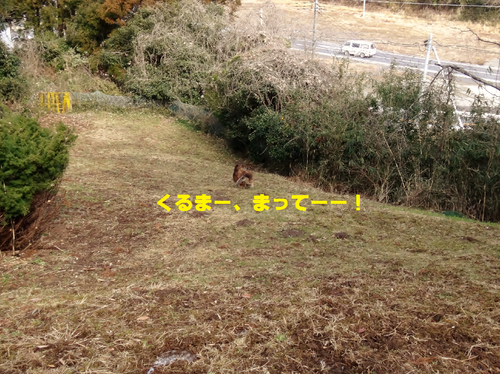 a0157174_20361651.png