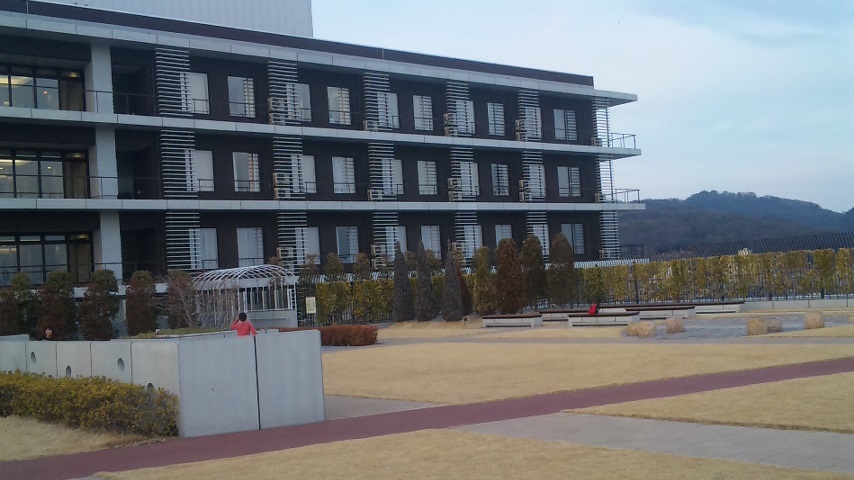 f0131183_21513830.jpg