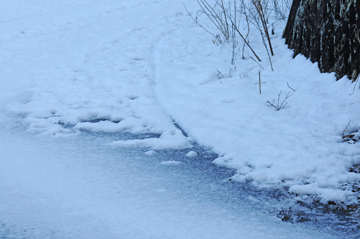 e0248688_624440.gif