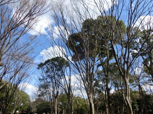 a0319693_10105640.jpg