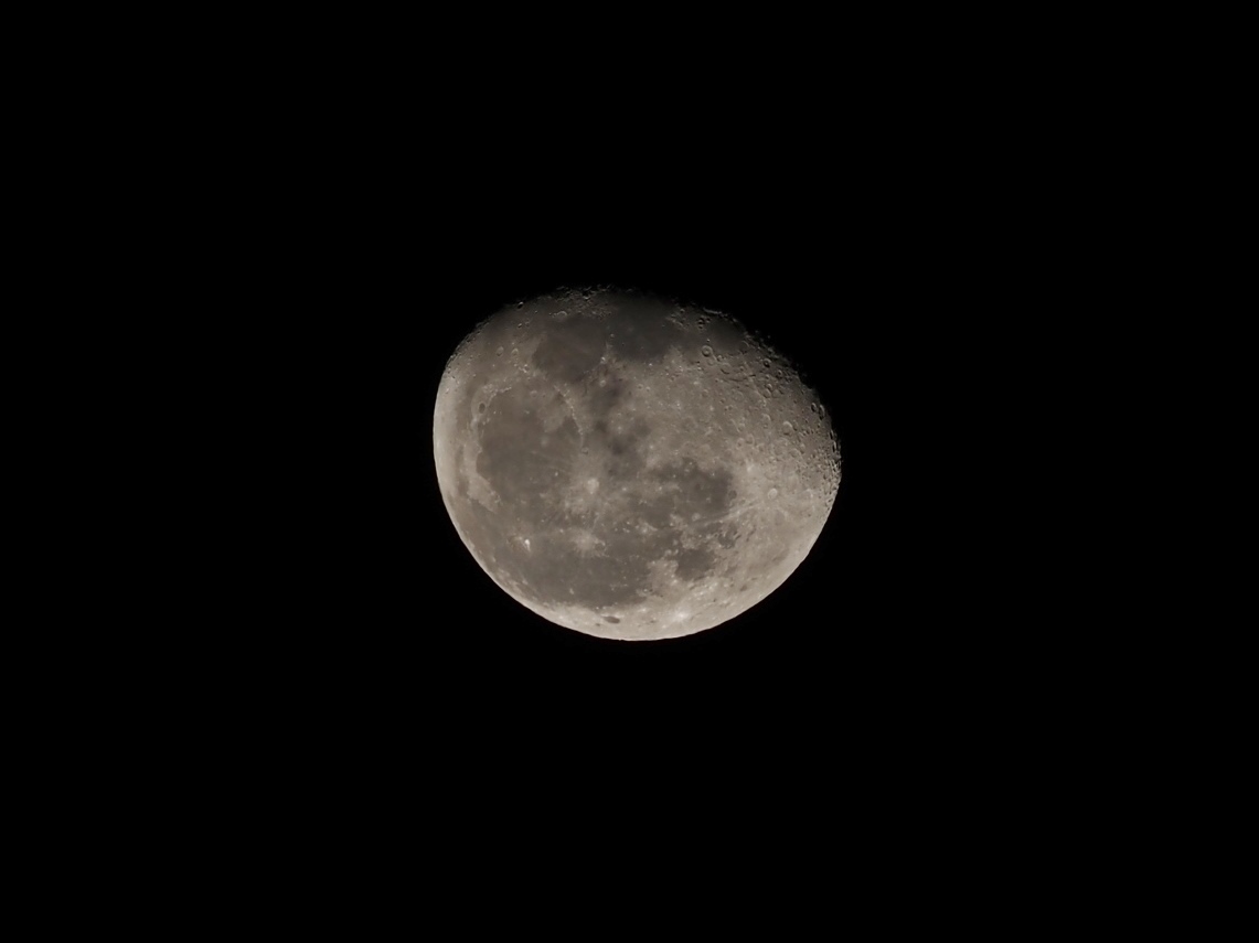 e0192702_14563716.jpg