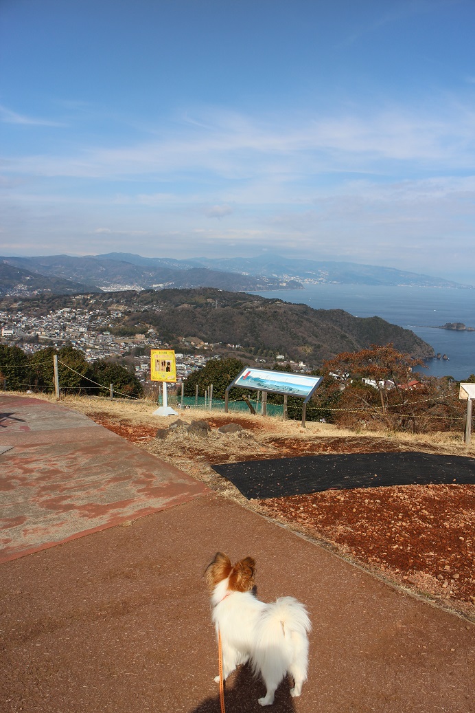 f0034602_2123732.jpg