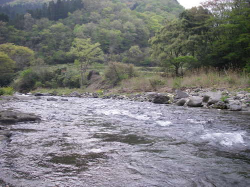 a0315918_20045061.jpg