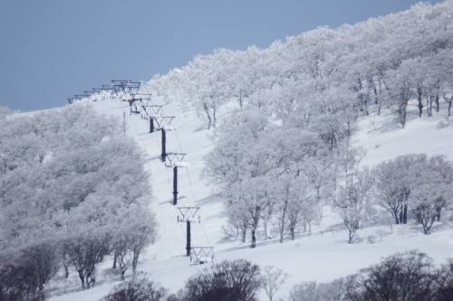 f0118332_22213590.jpg