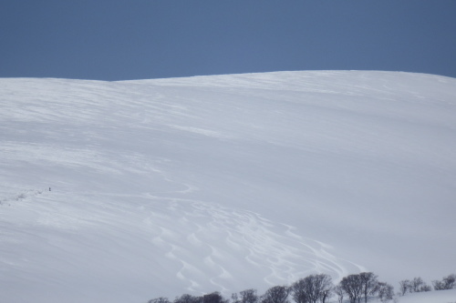 f0118332_22221911.jpg
