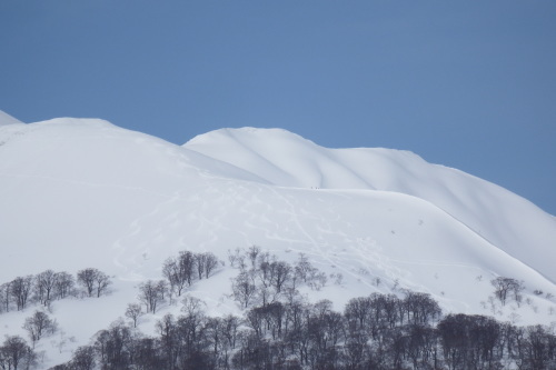 f0118332_22281333.jpg