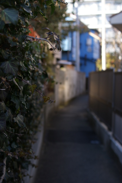 a0318033_23331435.jpg