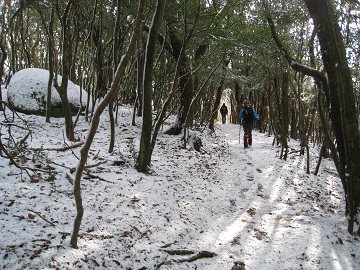 c0077338_8293195.jpg