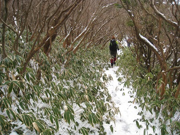 c0077338_8294852.jpg