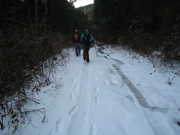c0077338_829935.jpg