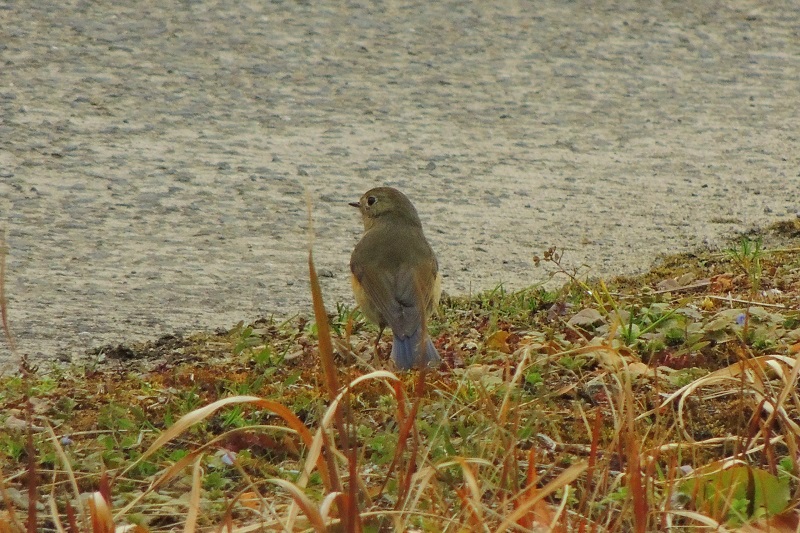 b0288942_01095.jpg